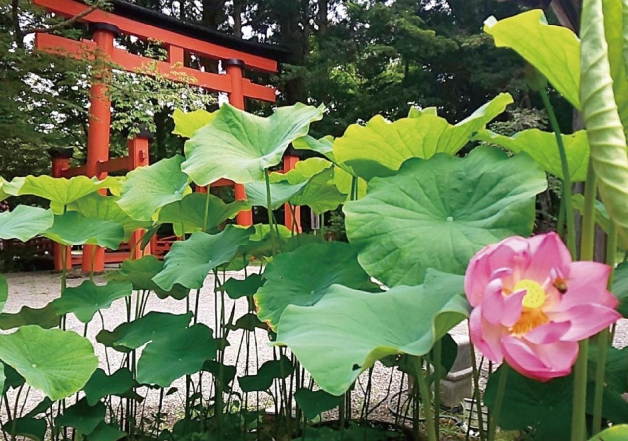 Kudoyama Ito-Gun - House - Vacation Stay 31960V מראה חיצוני תמונה